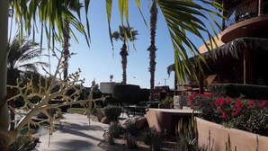 Ein Resort mit gepflastertem Weg, Palmen und einem Poolbereich.