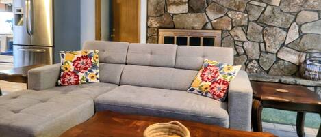 TV connectée, cheminée, lecteur de DVD, chaîne hi-fi