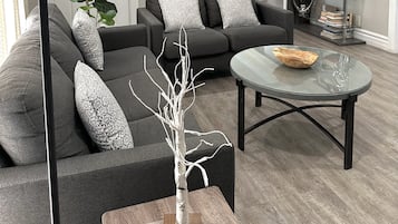 TV, fireplace, Netflix, streaming services