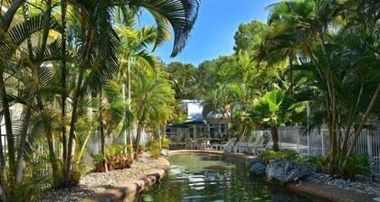 Tropical Palms at Port Douglas