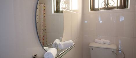 Shower, towels, soap, toilet paper