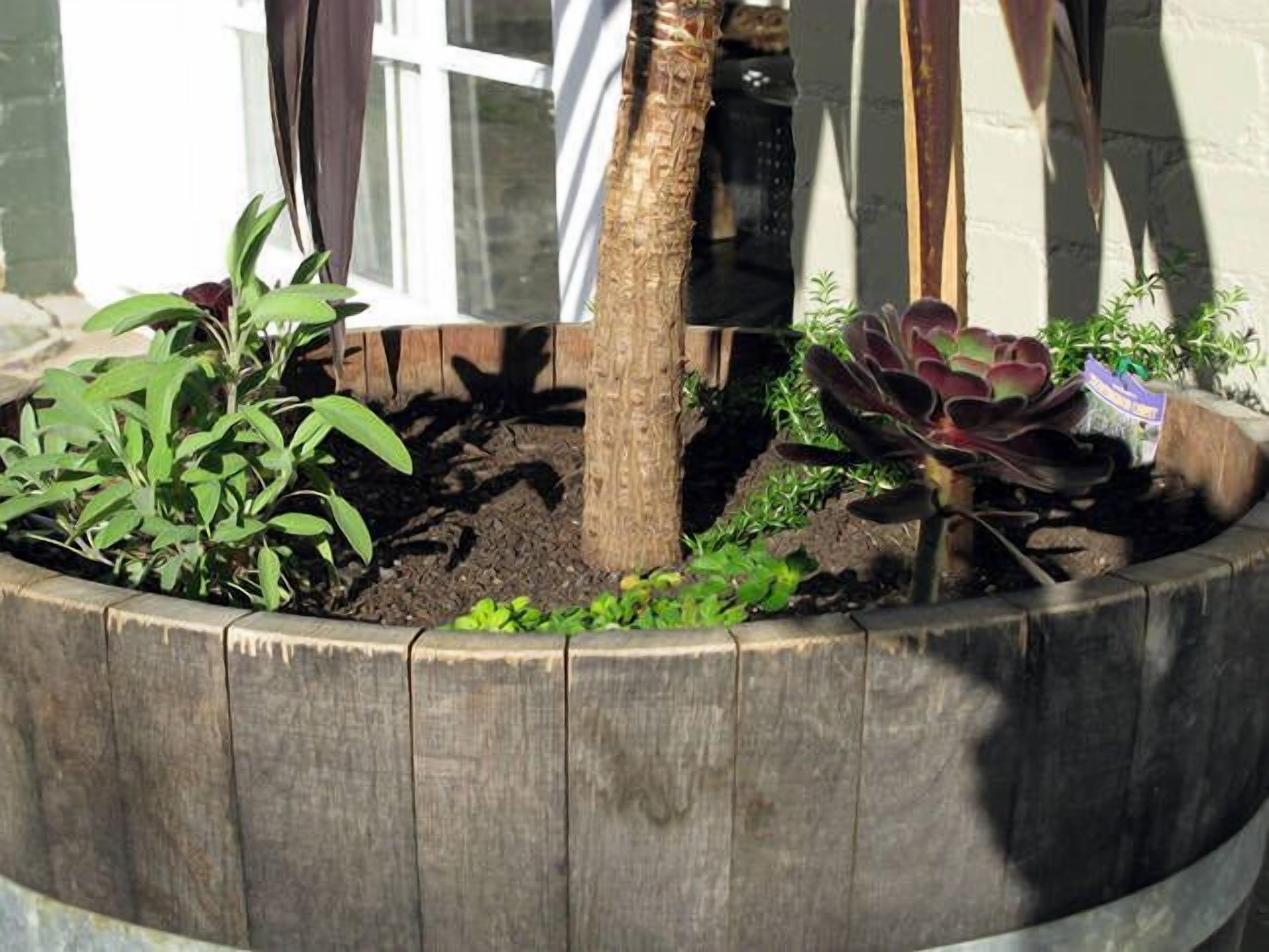 Toogooloowa on Davey 2 — image 7