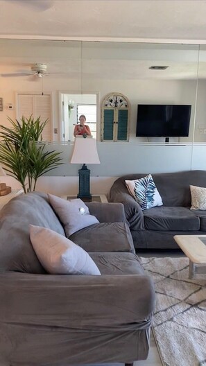 Smart TV, DVD player, books, video library