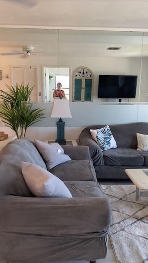 Smart TV, DVD player, books, video library