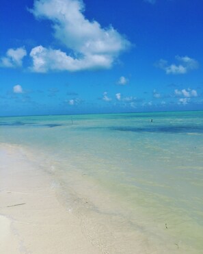 On the beach