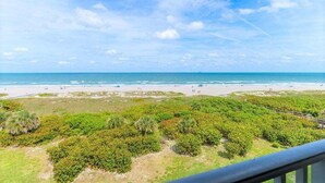 Uitzicht op een strand, met een heldere lucht, zandstrand en weelderige begroeiing op de voorgrond.