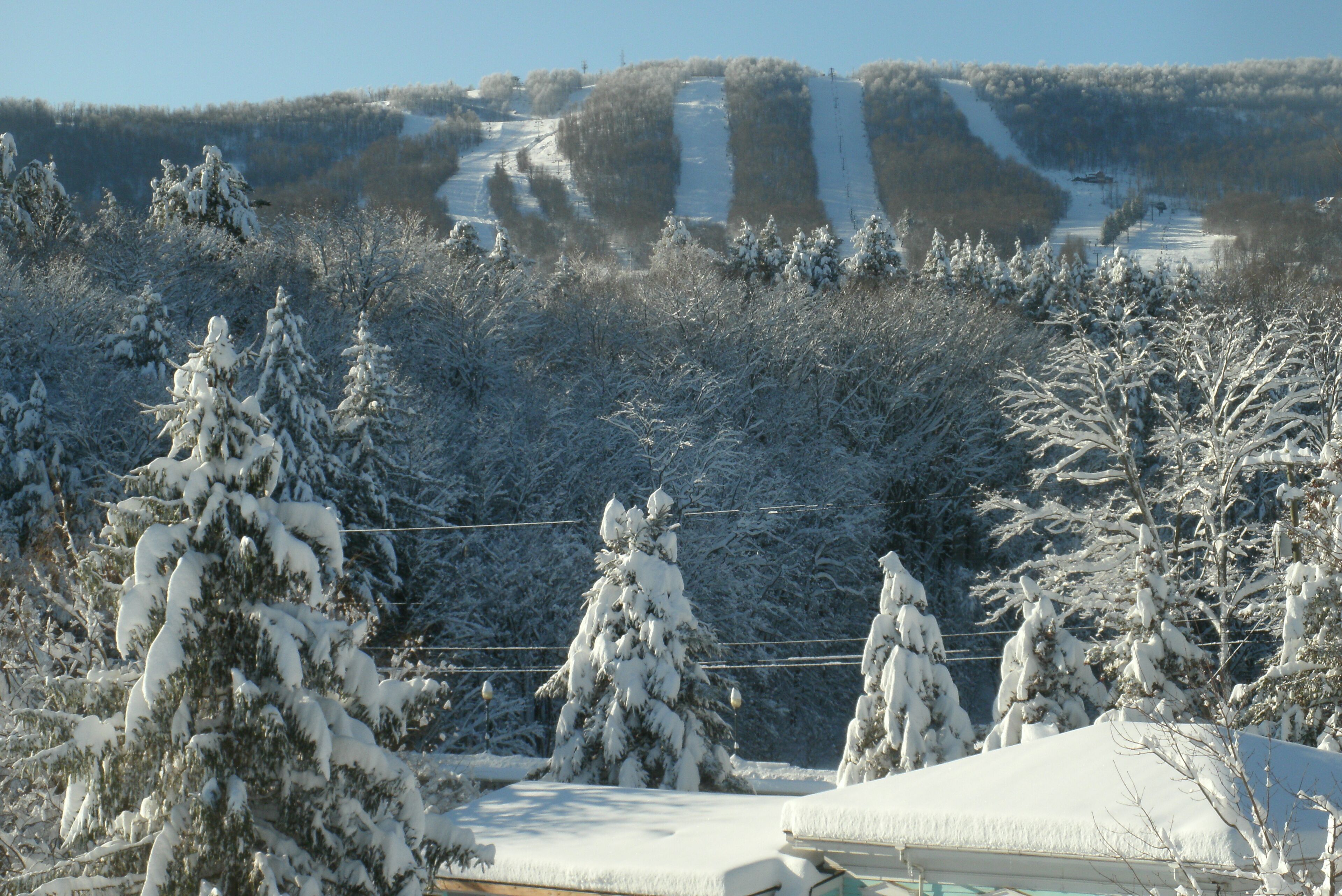 View from the balcony