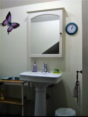 淋浴设施、吹风机、毛巾、肥皂