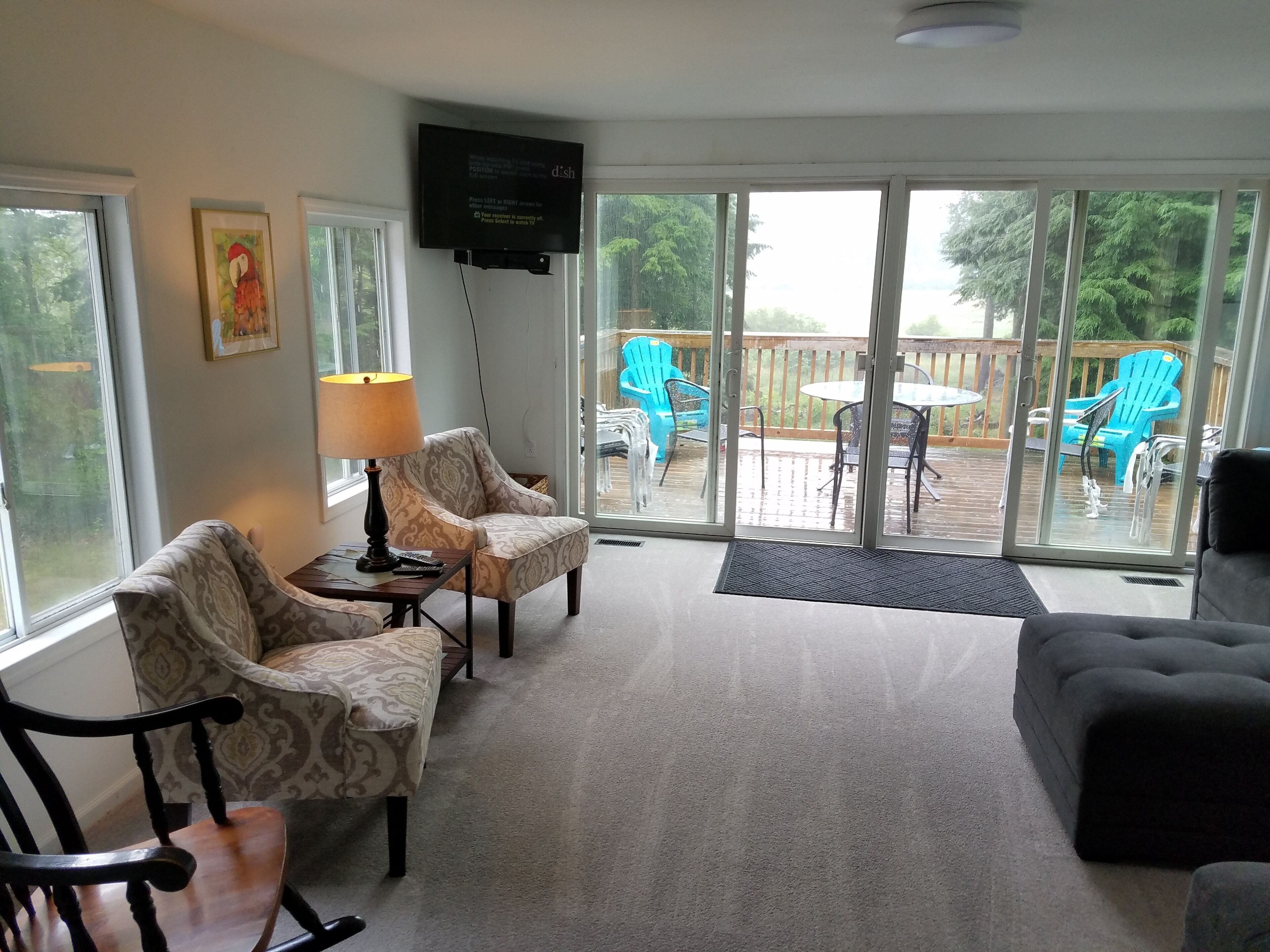 Smart TV, fireplace, DVD player, books