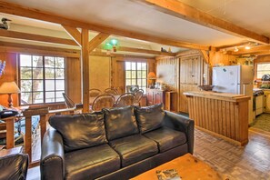 Fireplace, books - Boat Dock & Beach: Charming Stop Island Cabin (International Falls)