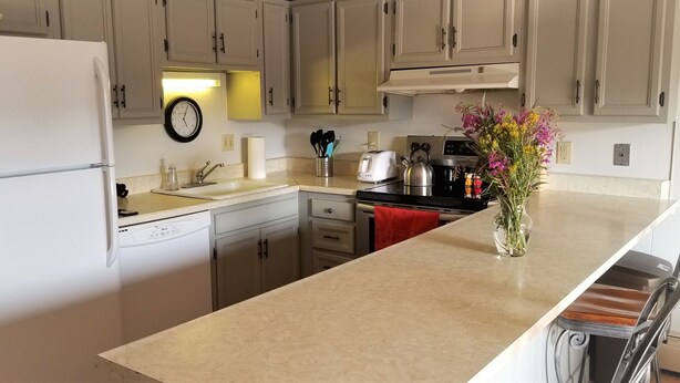 Una cocina con refrigerador, lavavajillas, fregadero, estufa y un florero con flores sobre la encimera.