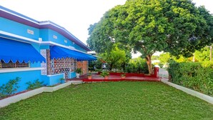 A blue building with a red roof, surrounded by a well-maintained lawn and a large tree. - ★ Cozy Kingston Getaway ★ Relaxing, Quaint & Centrally Located ★ (Kingston 10)