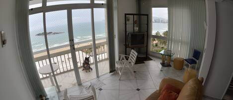 تلفزيون، مشغل دي في دي، كُتُب