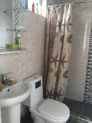 Combined shower/tub, jetted tub, hair dryer, towels