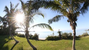 Une zone herbeuse avec des palmiers et une vue sur la mer.