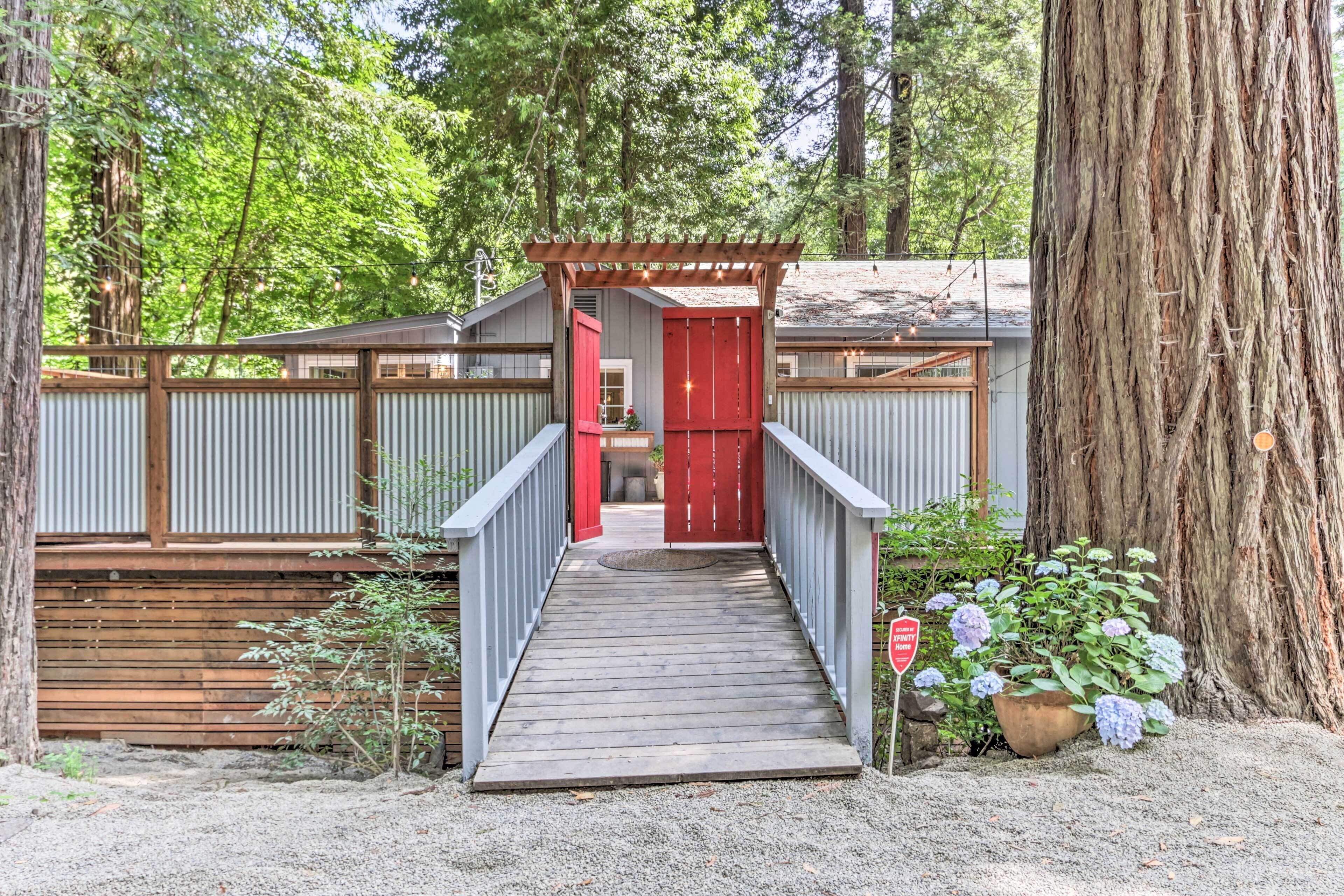 Une terrasse en bois menant à une porte rouge, entourée d’une clôture en bois et d’un grand arbre.