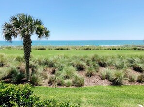 Property grounds - Breathtaking Oceanfront Condo (Palm Coast)