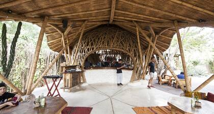 Propriété privée pour Tulum Experience -11 chambres