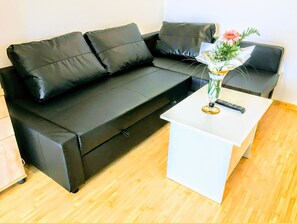 TV - City Center with Park View (Miercurea Ciuc)