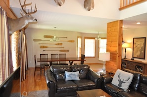 TV connectée, cheminée, lecteur de DVD, livres