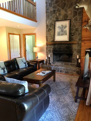 TV connectée, cheminée, lecteur de DVD, livres