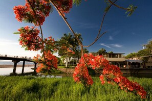 Property grounds - Beach Front! In Molino de Agua 806 3BD Condo for rent in Los Muertos Beach, Puer (Puerto Vallarta)