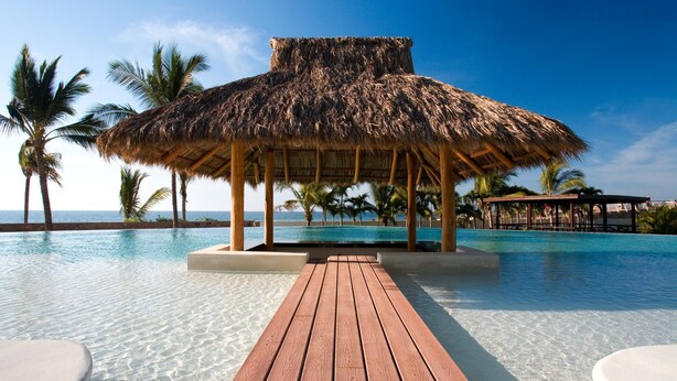 A thatched-roof structure over a pool with clear water, surrounded by palm trees and a view of the ocean.