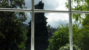 A window with a view of trees and a cloudy sky. - Toogooloowa on Davey 3 (Hobart)