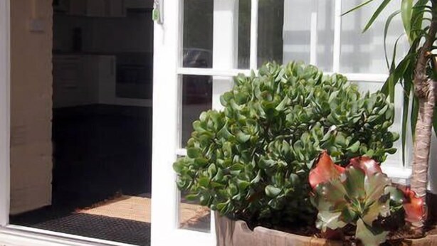A door with a potted plant on the right and a view into a room with cabinets. - Toogooloowa on Davey 3 (Hobart)