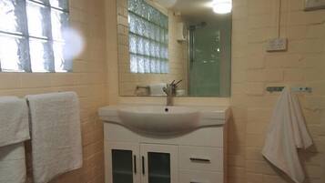 Combined shower/bathtub, hair dryer, towels, soap