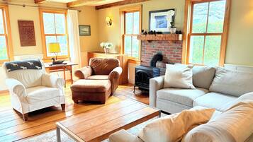 Smart TV, chimenea, Netflix, libros