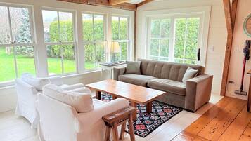 Smart TV, chimenea, Netflix, libros