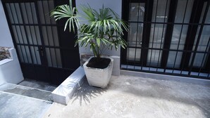 A potted plant in a white pot on a concrete surface next to a black metal gate. - Wine underground style appartment in the oldest town (Tbilisi)