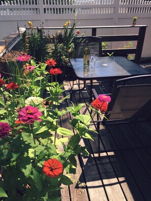 Opções para refeição ao ar livre