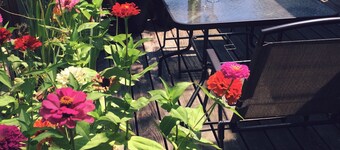 Sunny, Contemporary 1 Bedroom Apartment With Large Patio