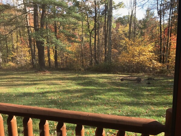 A grassy area with trees and a wooden fence.