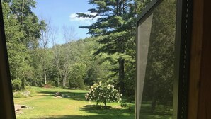 A view through a window of a well-maintained grassy yard with a small flowering bush and trees in the background. - Log Cabin/screened porch, 9 Acres/ Mountain views (Woodstock)