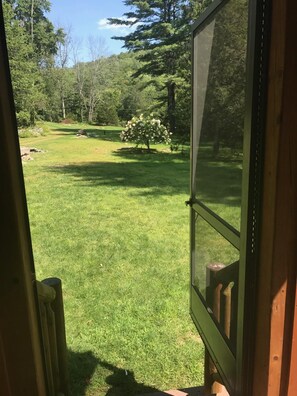 Interior - Log Cabin/screened porch, 9 Acres/ Mountain views (Woodstock)