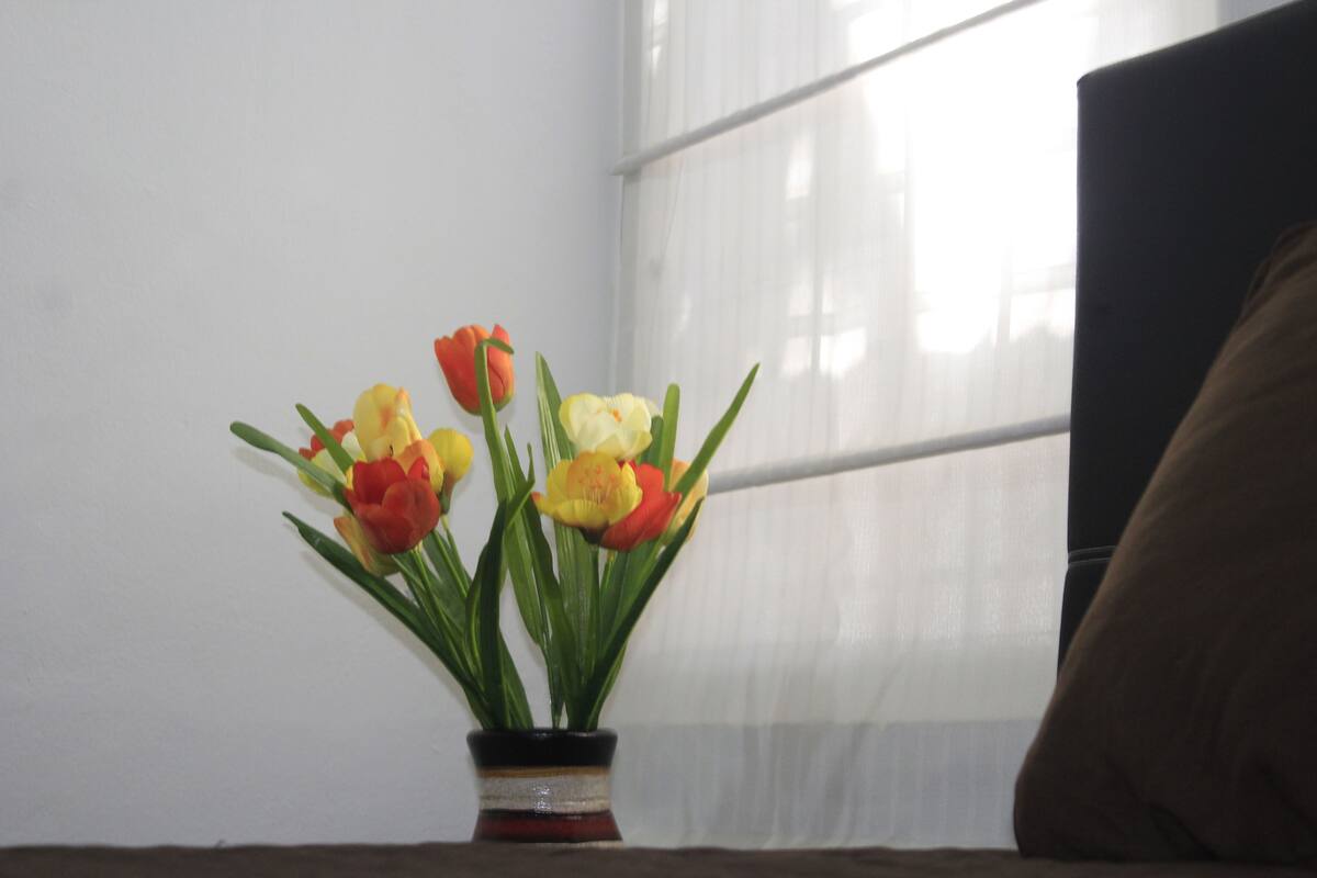 Family Apartment, 2 Bedrooms | WiFi (free), individually furnished, bed sheets