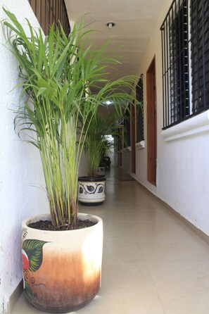 Property entrance - Edificio Zimbad (Tulum)