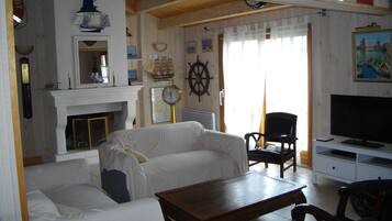 Televisie, een open haard, een dvd-speler en boeken