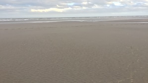 A beach with a wide sandy shore and a cloudy sky. - Spacious traditional Irish cottage, on the banks of the Boyne. Pet friendly. (Baltray)