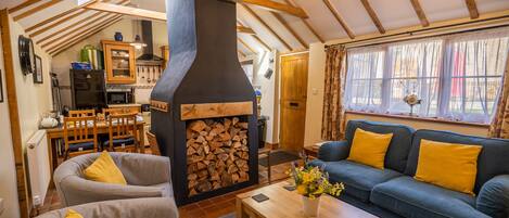 スマートテレビ、暖炉、DVD プレーヤー、書庫