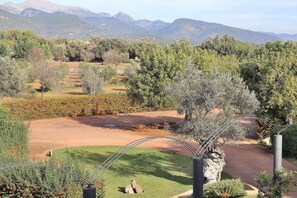 Stroll through the serene garden, surrounded by lush greenery and a picturesque mountain range.