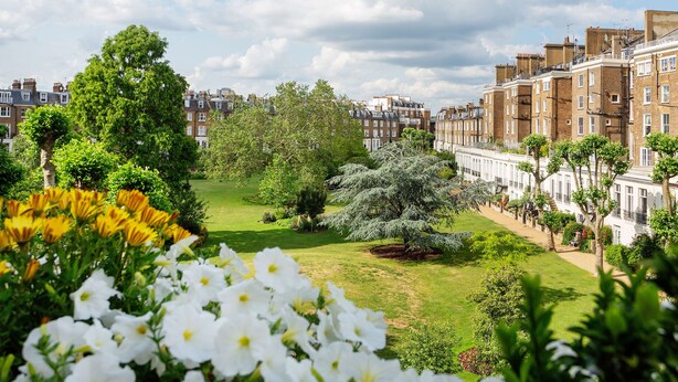 A garden with white flowers, a large tree, and a row of brick buildings. - Garden Square Serenity, by Veeve (London)
