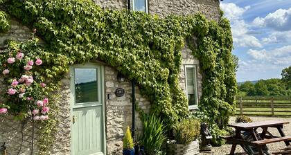 Conversion de ferme Kirkdale Cottage avec chien et poĂȘle Ă bois