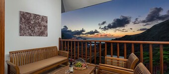 Spacious interior, 3 terraces with views, wifi [D]