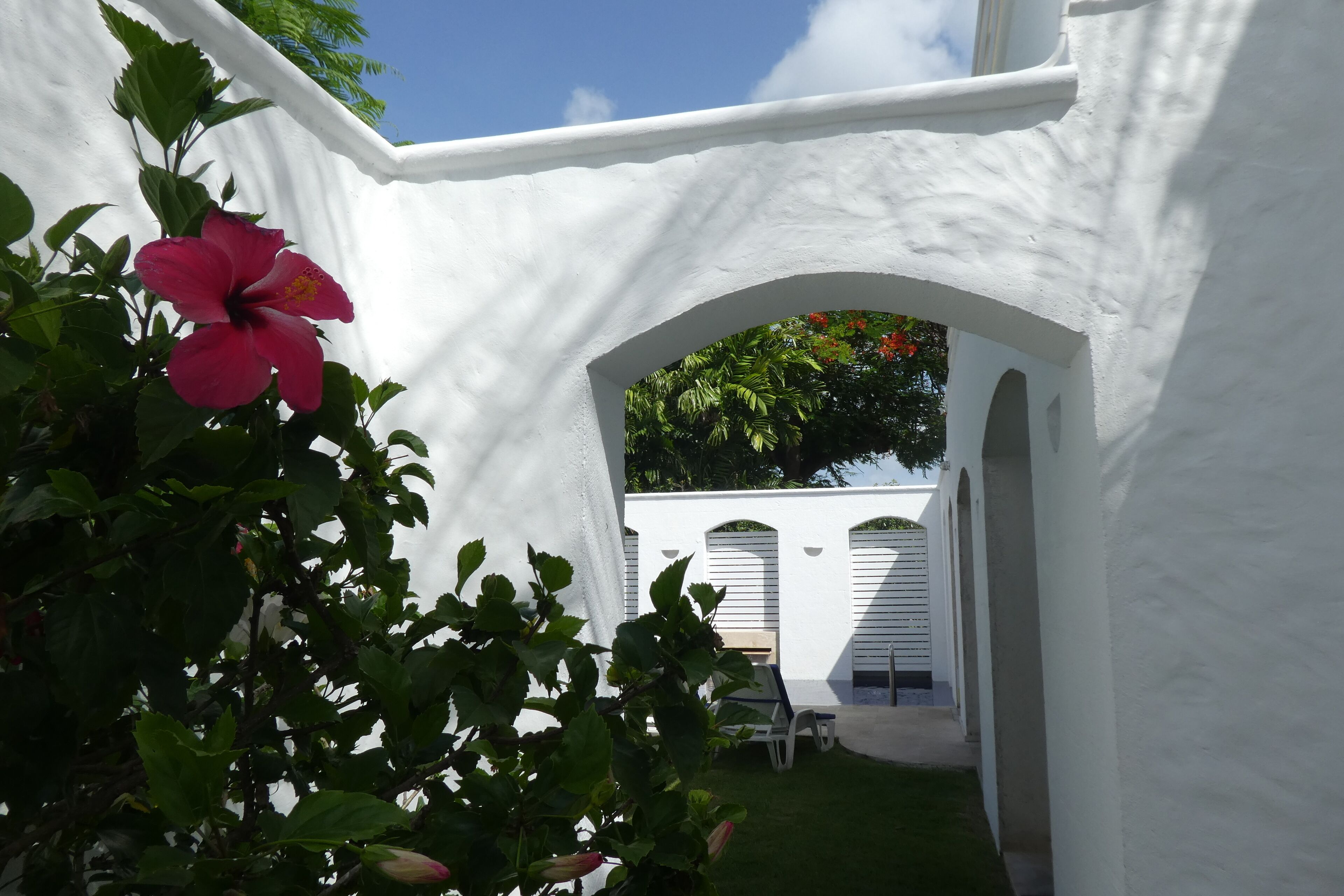 A white-walled courtyard with a clear blue sky, a red hibiscus flower, and a bench.