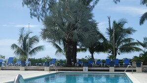 Ein Poolbereich mit blauen Liegestühlen und einem großen Baum im Hintergrund.