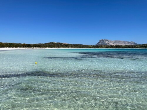 Marvelous in front of  the beach, private pool